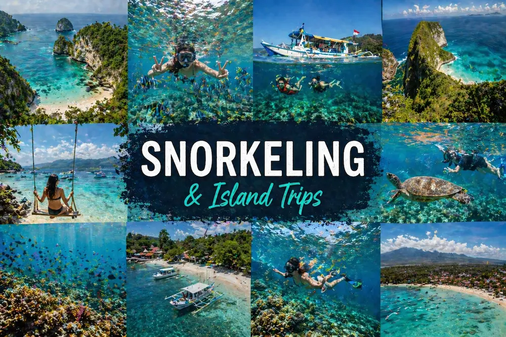 Island Tour